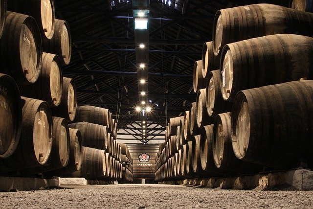 Los vinos de la bodega